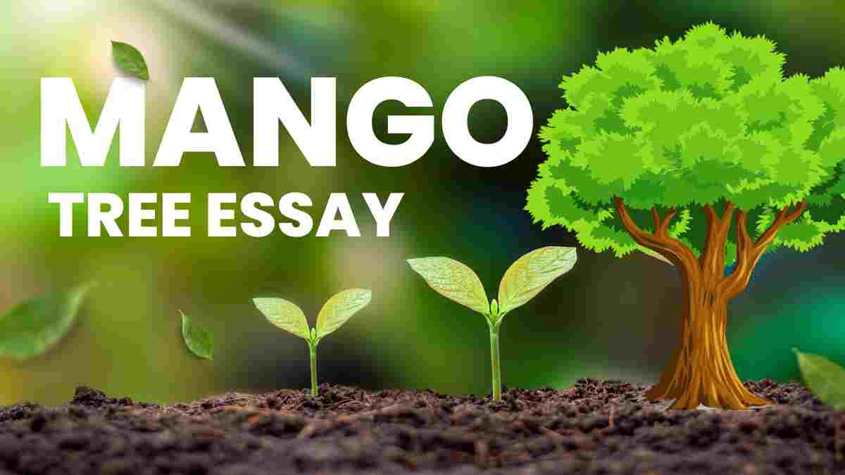 Essay on Mango Tree in English