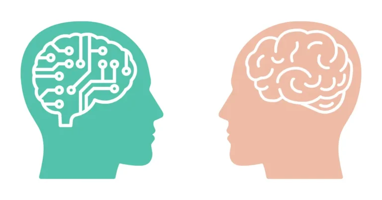 Two brain PNG image combine
